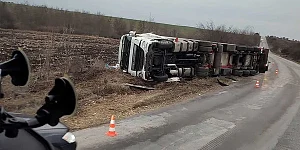 ¿Se puede reclamar por los daños causados a nuestro vehículo por el estado de las carreteras?
