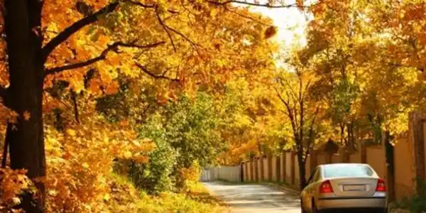 Conducir en otoño: 6 consejos esenciales para mantenerte seguro en la carretera