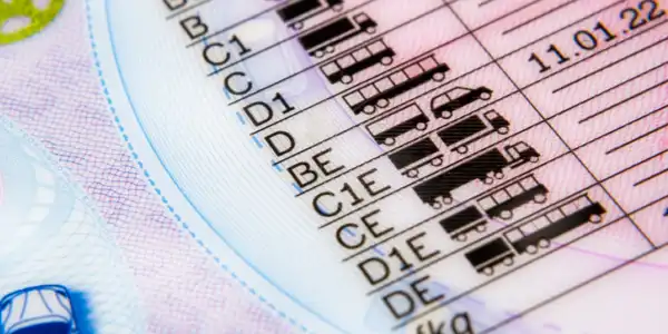 Cambian los cursos de recuperación de puntos: ya no se podrán recuperar 6 puntos del carnet